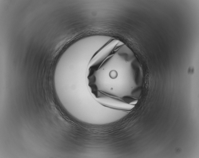 X0000111180740200907151324