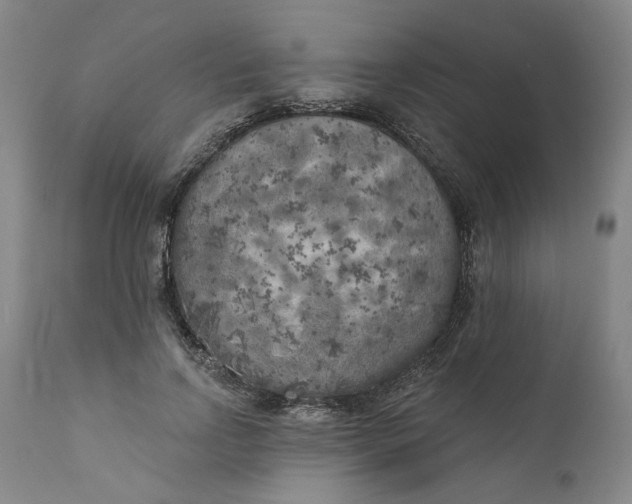 X0000111180742200907151324