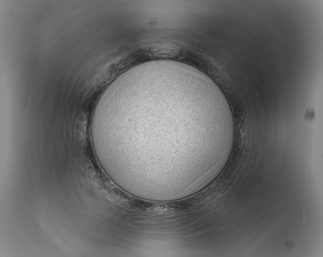 X0000111180745200907151324