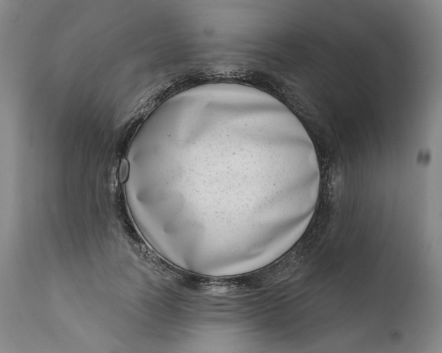 X0000111180746200907151324