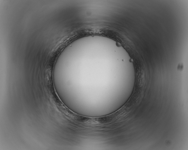 X0000111180747200907151324