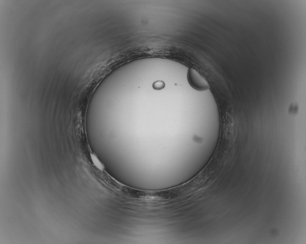 X0000111180748200907151324