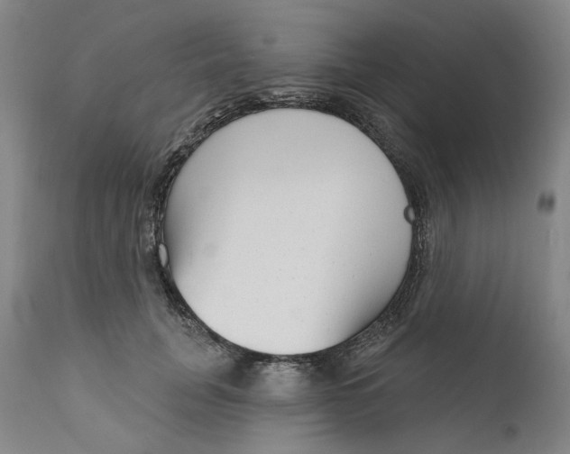 X0000111180751200907151324