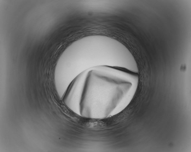 X0000111180752200907151324