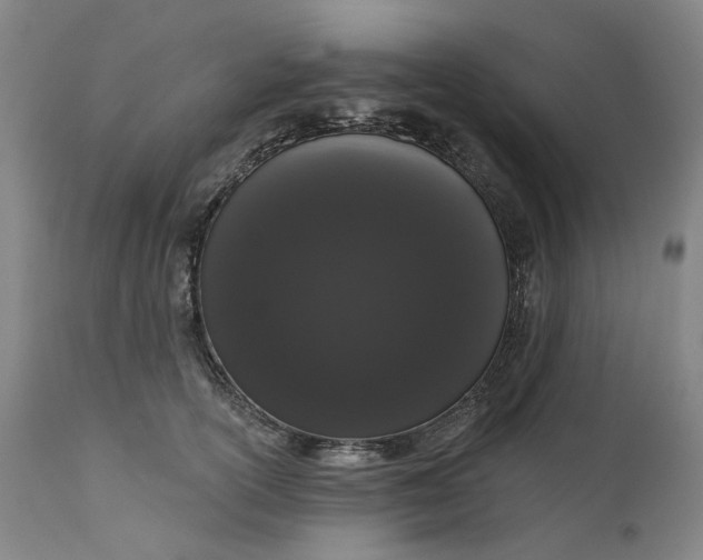 X0000111180754200907151324