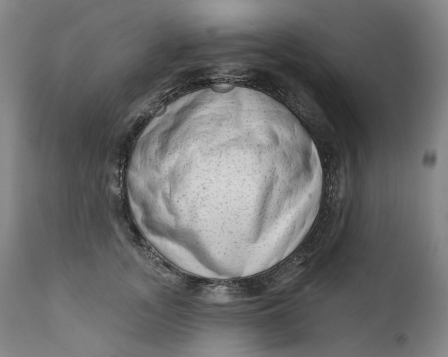 X0000111180755200907151324