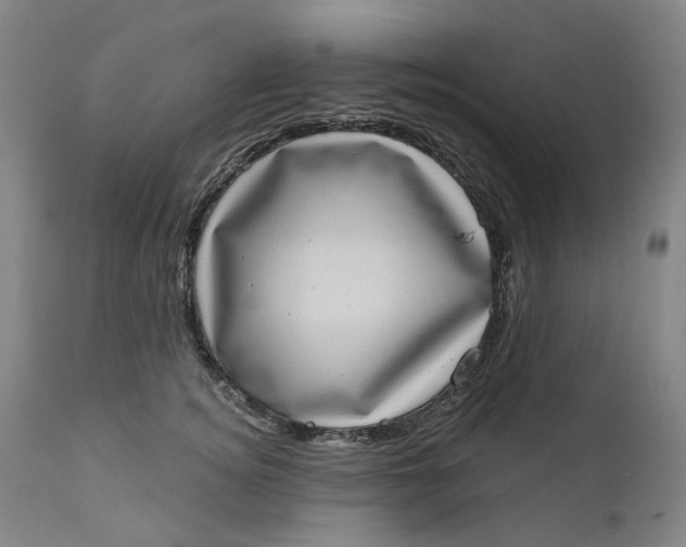 X0000111180756200907151324