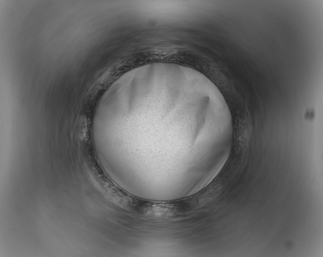 X0000111180758200907151324