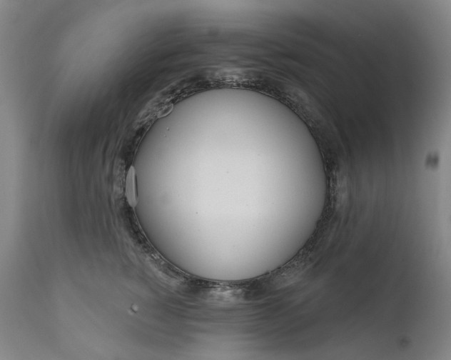 X0000111180760200907151324