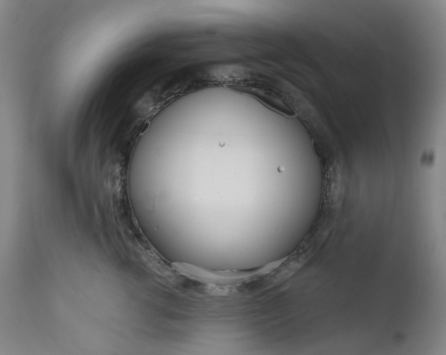 X0000111180762200907151324