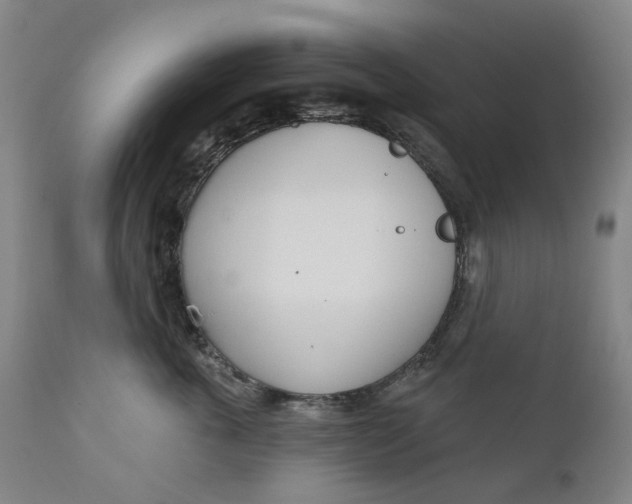 X0000111180763200907151324