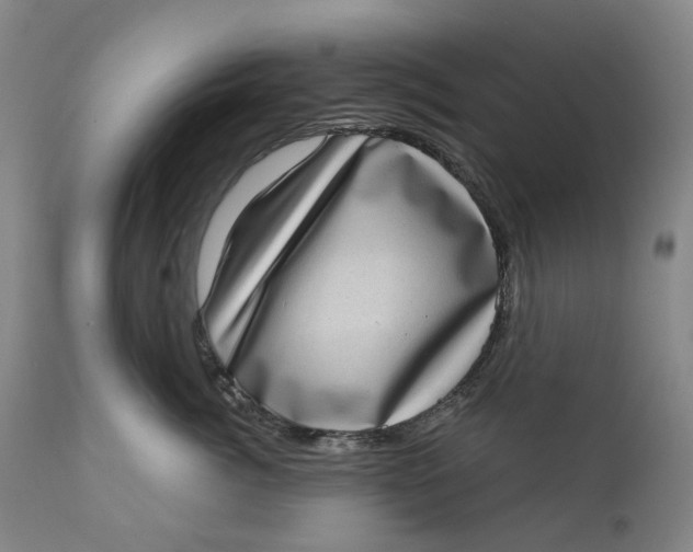 X0000111180764200907151324