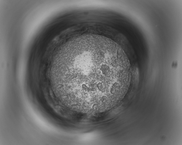 X0000111180765200907151324