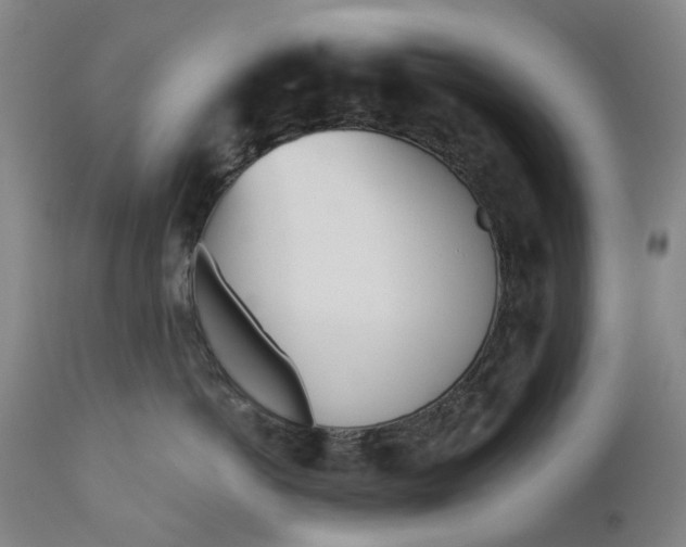 X0000111180766200907151324