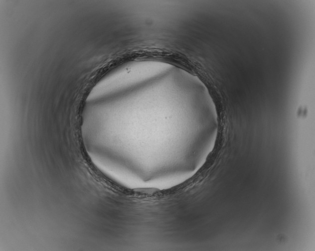 X0000111180769200907151323