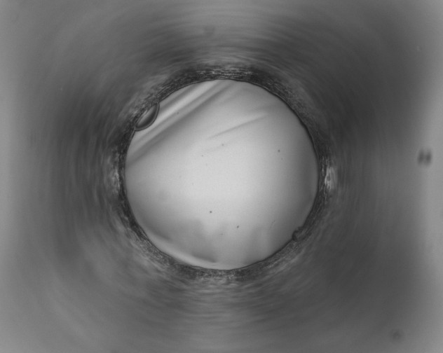 X0000111180771200907151323