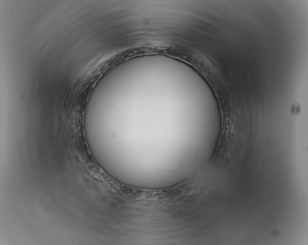 X0000111180773200907151323