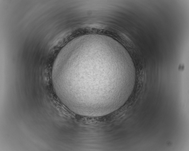 X0000111180774200907151323