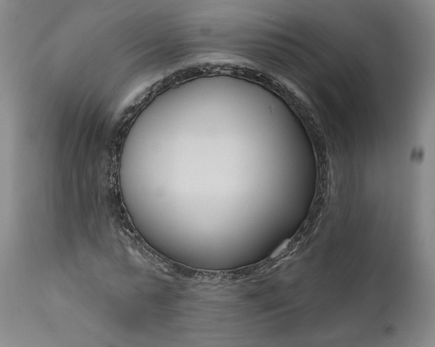 X0000111180775200907151323