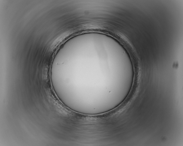 X0000111180777200907151323