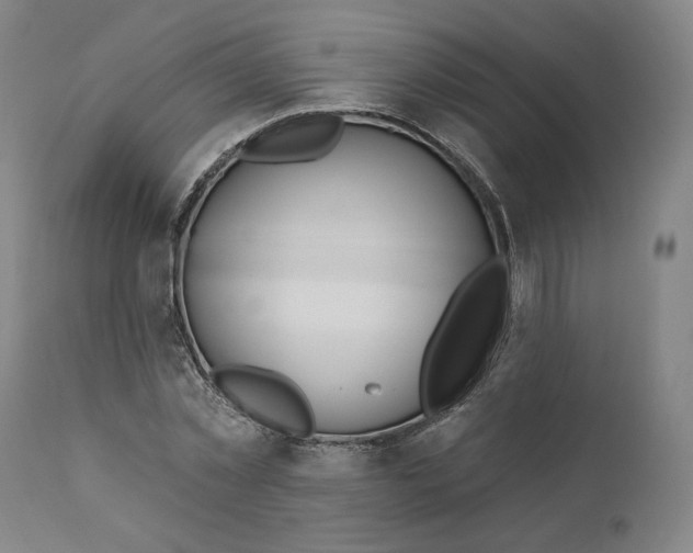 X0000111180781200907151323