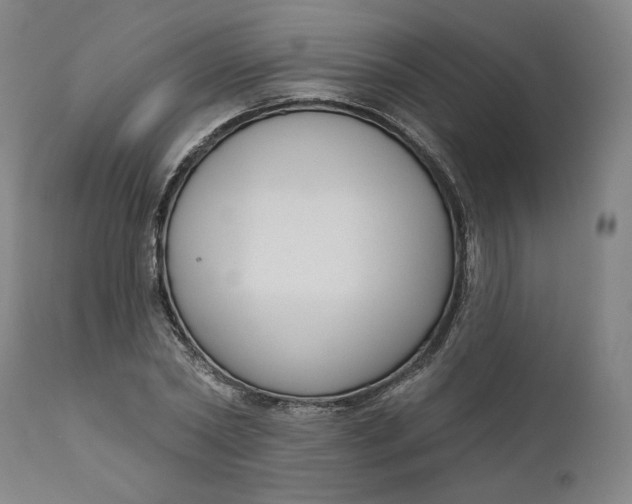 X0000111180782200907151323