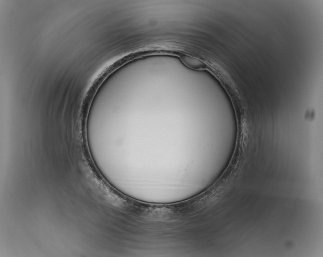 X0000111180784200907151323