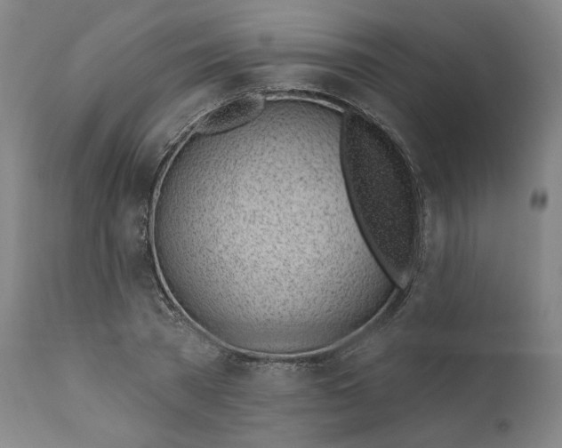 X0000111180785200907151323