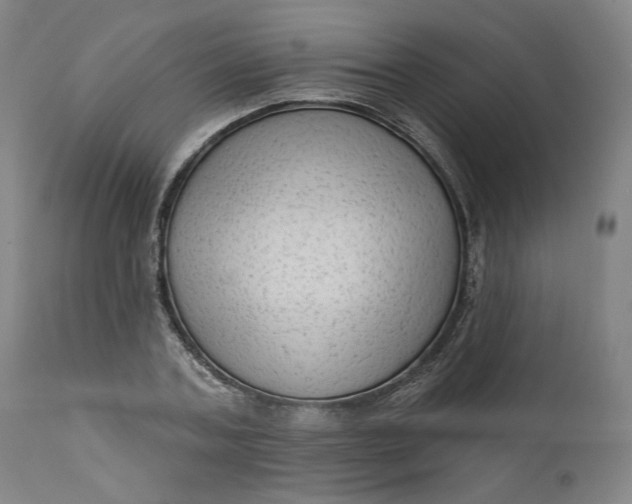 X0000111180787200907151323