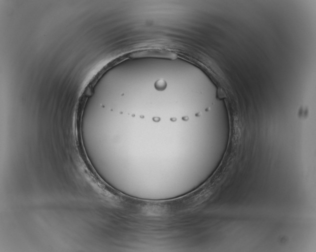 X0000111180788200907151323