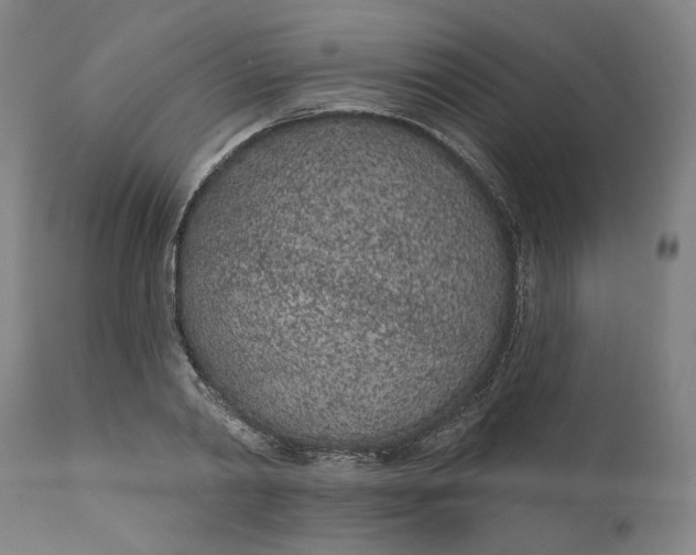 X0000111180790200907151323