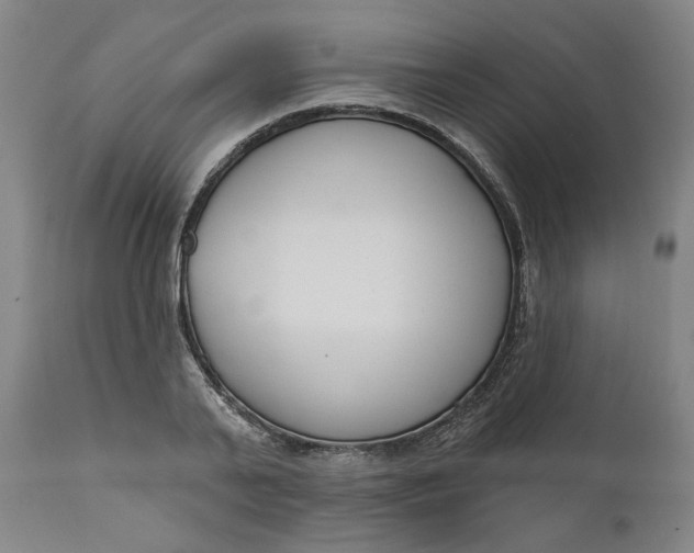 X0000111180791200907151323