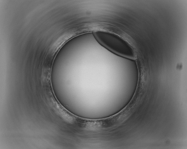 X0000111180793200907151323