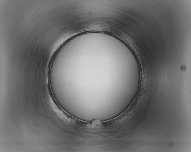 X0000111180795200907151323