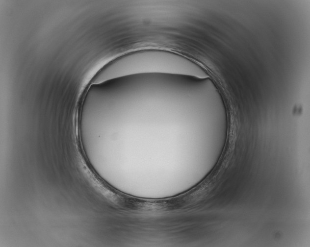 X0000111180796200907151323