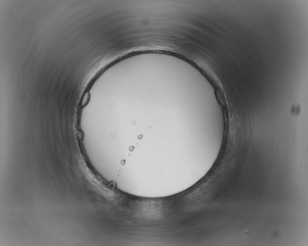 X0000111180797200907151323