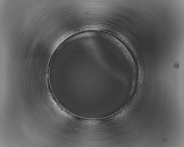 X0000111180802200907151323