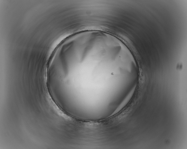 X0000111180804200907151323