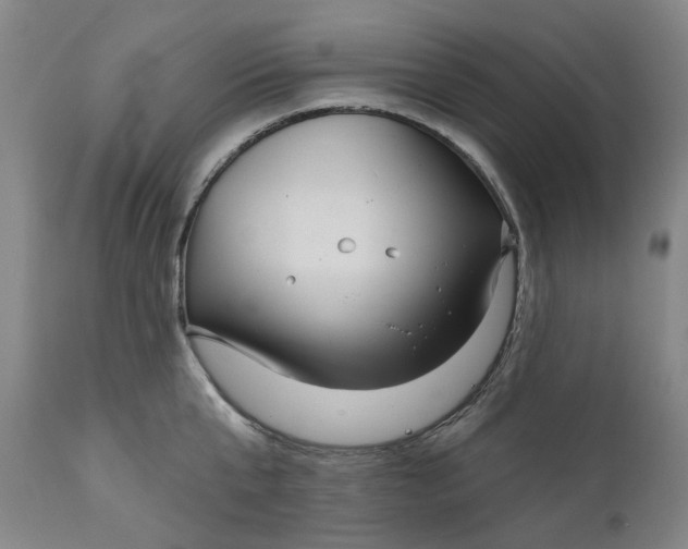 X0000111180807200907151323