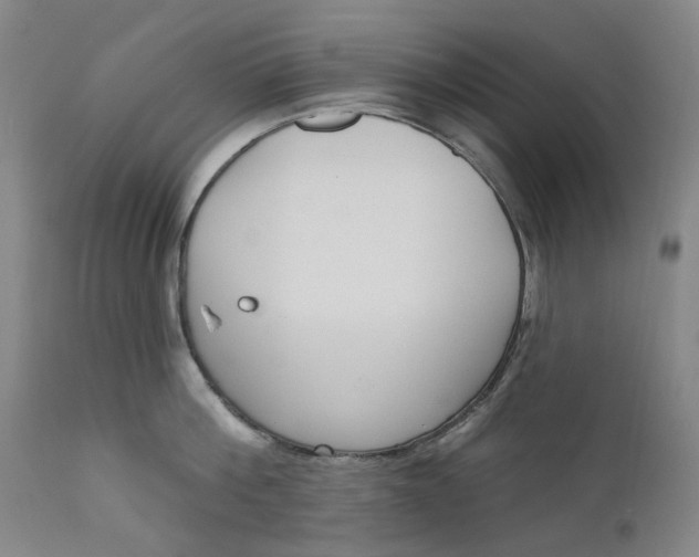 X0000111180812200907151323