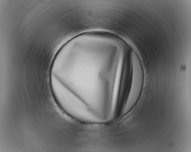 X0000111180813200907151323