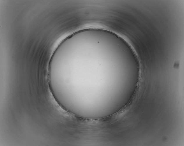 X0000111180815200907151323