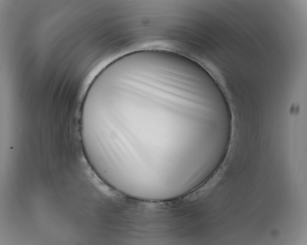 X0000111180816200907151323