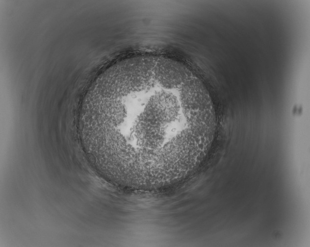 X0000111180817200907151322