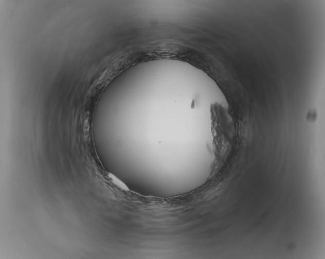 X0000111180818200907151322