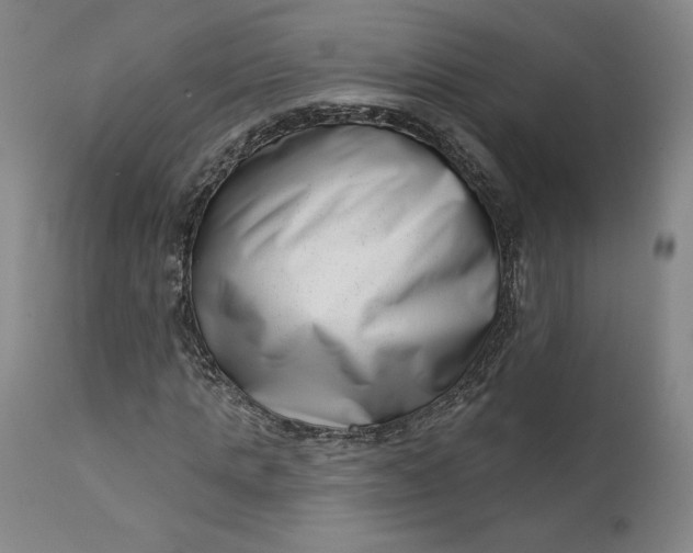 X0000111180821200907151322