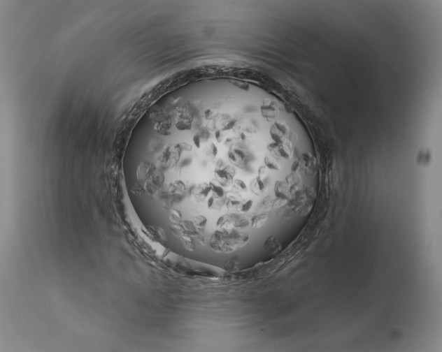 X0000111180822200907151322