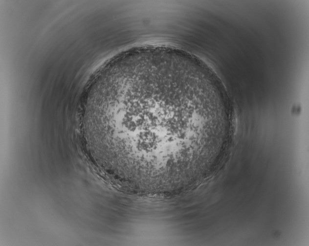 X0000111180823200907151322