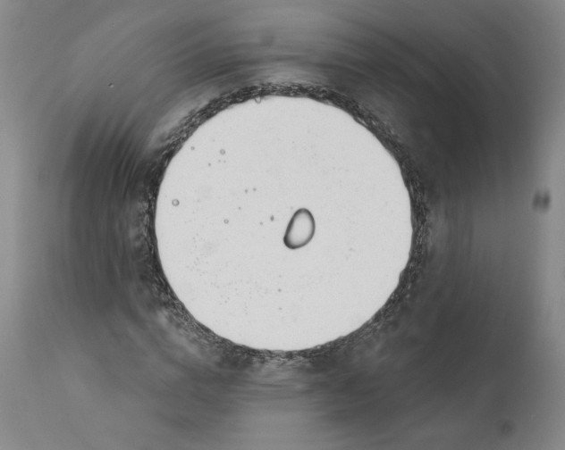 X0000111180824200907151322