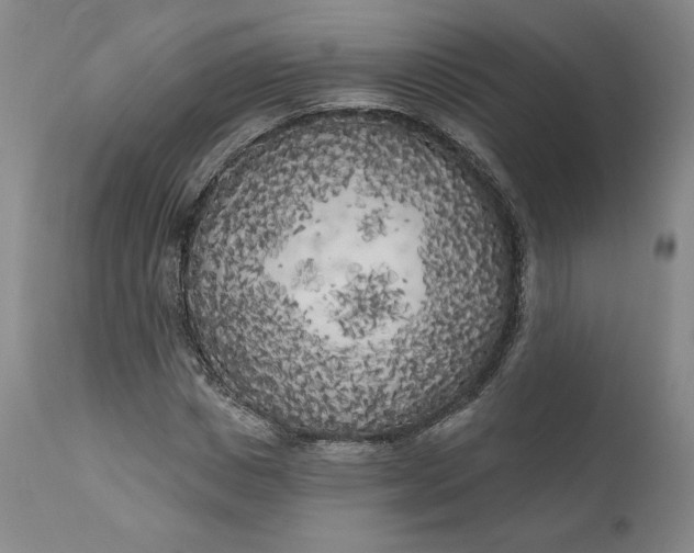 X0000111180825200907151322